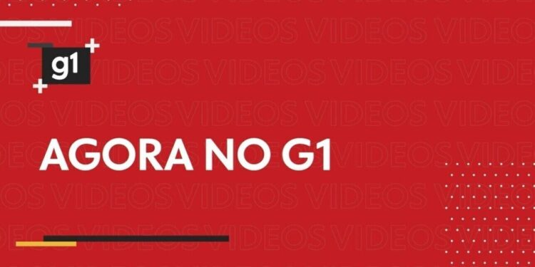 João Pessoa amplia vacinação contra gripe para novos grupos prioritários; veja quem pode se imunizar