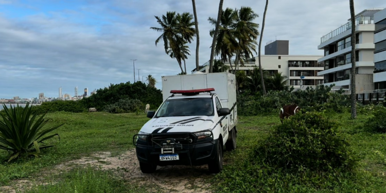 Corpo de homem é encontrado com sinais de violência à beira-mar, em João Pessoa